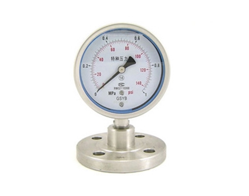 Y-MF series flange diaphragm pressure gauge