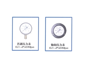 YA series ammonia pressure gauge