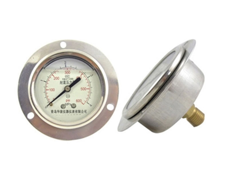 YTN series seismic pressure gauge