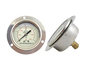 YTN series seismic pressure gauge