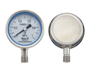YB series precision pressure gauge